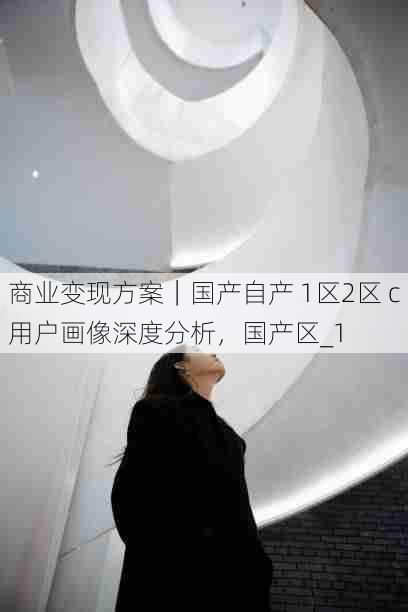 商业变现方案|国产自产 1区2区 c用户画像深度分析,国产区_1