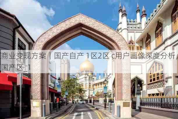 商业变现方案|国产自产 1区2区 c用户画像深度分析,国产区_1