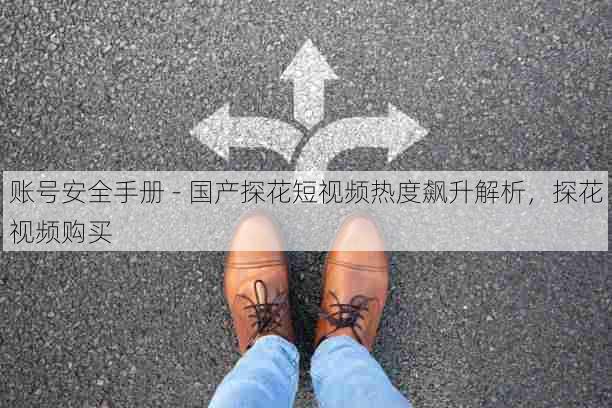 账号安全手册 - 国产探花短视频热度飙升解析,探花视频购买