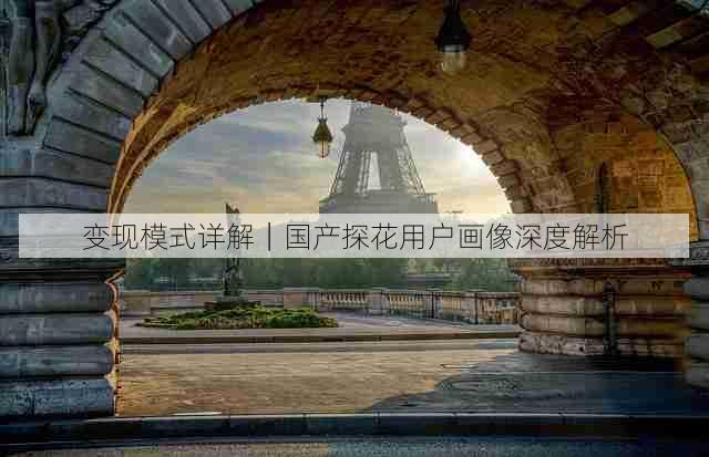 变现模式详解|国产探花用户画像深度解析