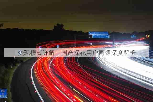 变现模式详解|国产探花用户画像深度解析