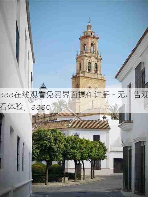 aaa在线观看免费界面操作详解 - 无广告观看体验,aaaq