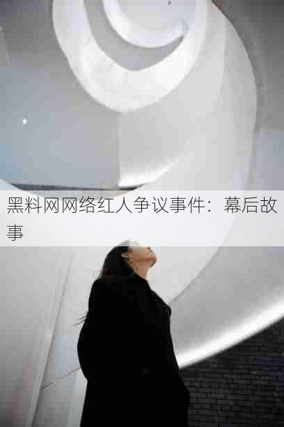 黑料网网络红人争议事件:幕后故事