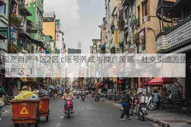 国产自产 1区2区 c账号养成与推广策略 - 社交引流方法,国产区_1