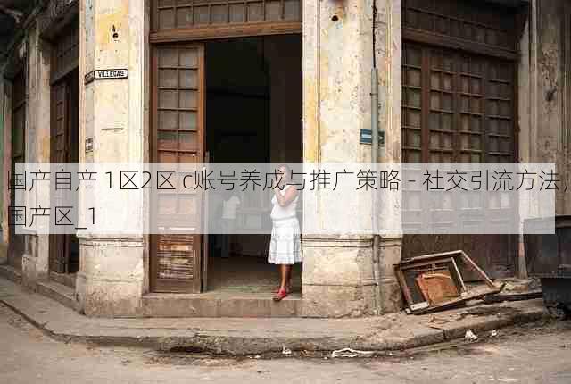 国产自产 1区2区 c账号养成与推广策略 - 社交引流方法,国产区_1