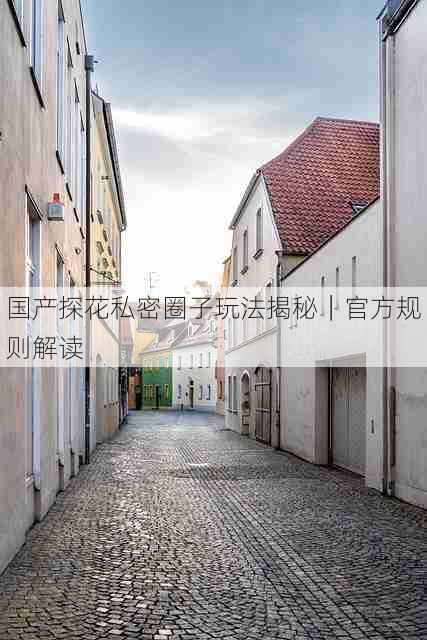 国产探花私密圈子玩法揭秘|官方规则解读