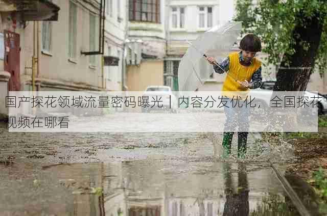 国产探花领域流量密码曝光|内容分发优化,全国探花视频在哪看