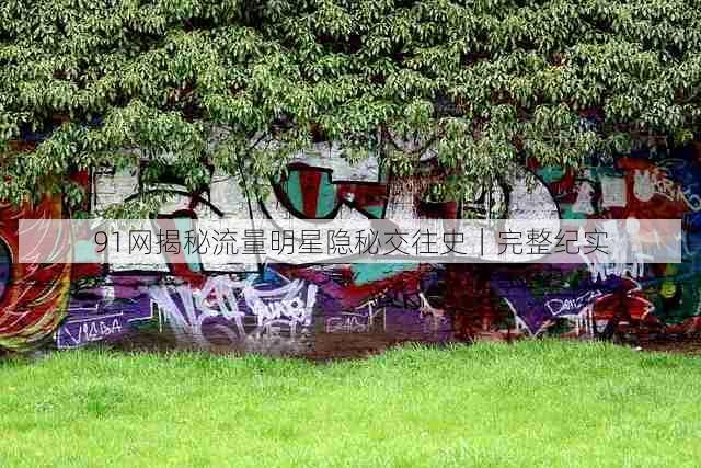 91网揭秘流量明星隐秘交往史|完整纪实