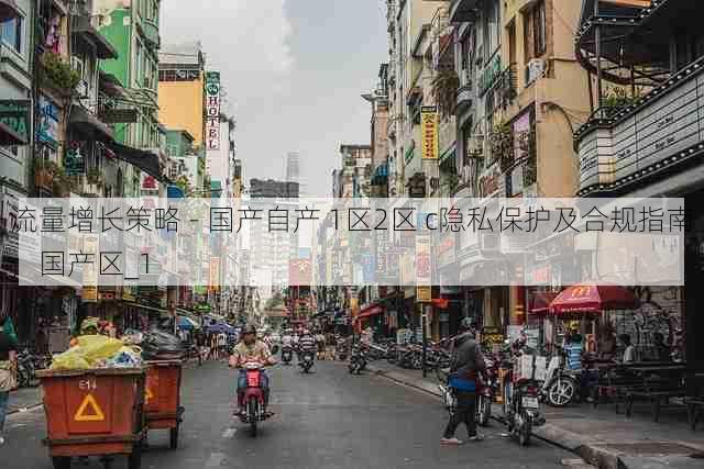 流量增长策略 - 国产自产 1区2区 c隐私保护及合规指南,国产区_1