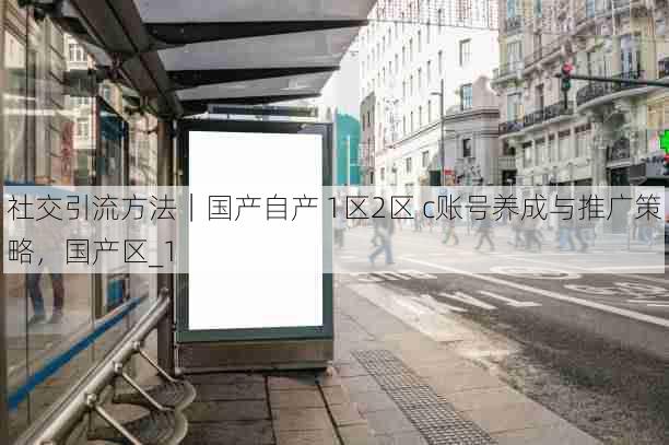 社交引流方法|国产自产 1区2区 c账号养成与推广策略,国产区_1
