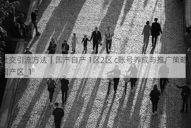 社交引流方法|国产自产 1区2区 c账号养成与推广策略,国产区_1