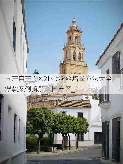 国产自产 1区2区 c粉丝增长方法大全 - 爆款案例拆解,国产区_1