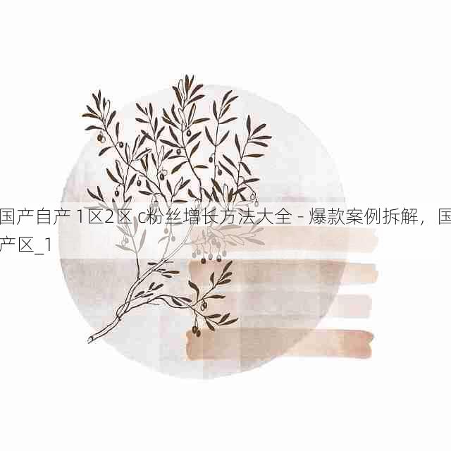 国产自产 1区2区 c粉丝增长方法大全 - 爆款案例拆解,国产区_1