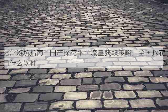 运营避坑指南 - 国产探花平台流量获取策略,全国探花用什么软件