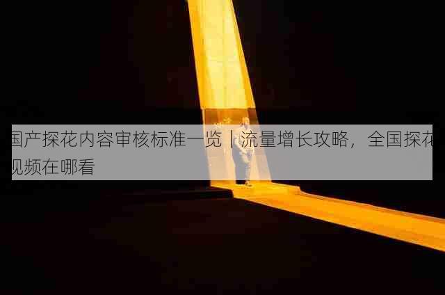 国产探花内容审核标准一览|流量增长攻略,全国探花视频在哪看