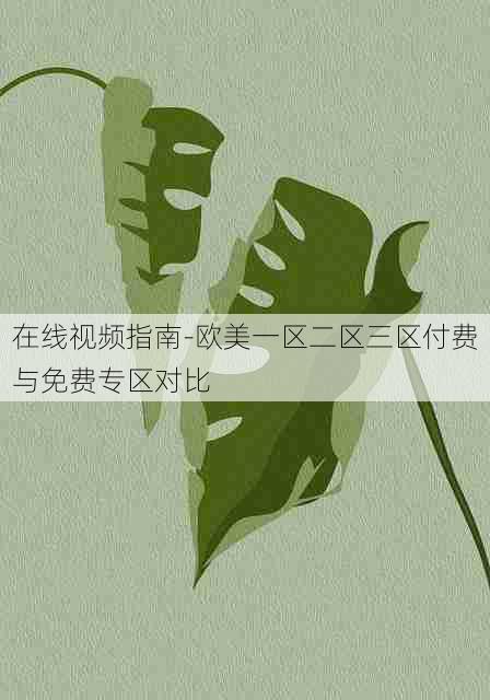 在线视频指南-欧美一区二区三区付费与免费专区对比