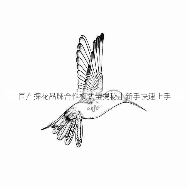 国产探花品牌合作模式全揭秘｜新手快速上手