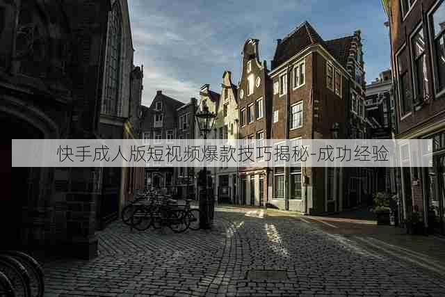 快手成人版短视频爆款技巧揭秘-成功经验