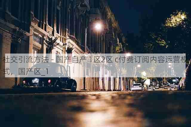 社交引流方法 - 国产自产 1区2区 c付费订阅内容运营模式,国产区_1