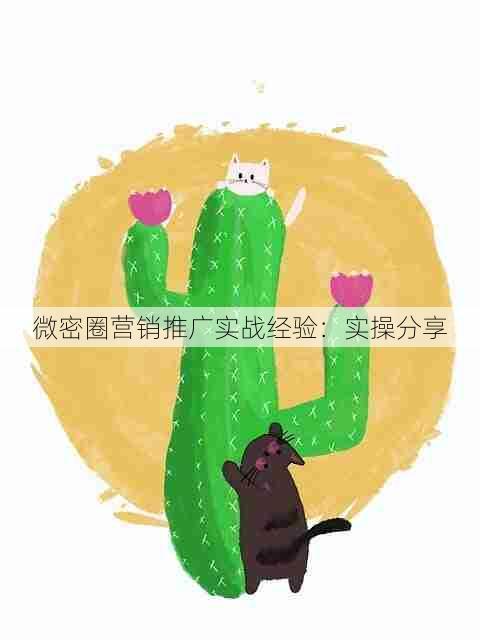 微密圈营销推广实战经验：实操分享