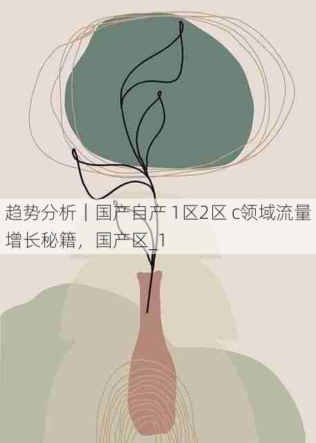 趋势分析|国产自产 1区2区 c领域流量增长秘籍,国产区_1
