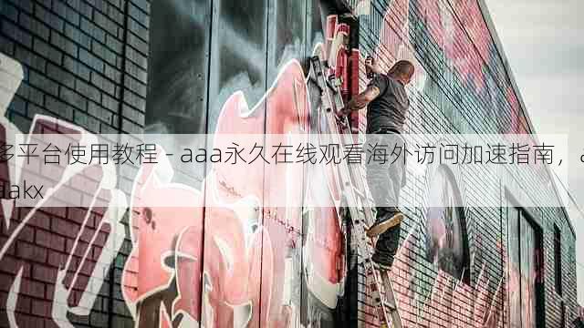多平台使用教程 - aaa永久在线观看海外访问加速指南,aaakx