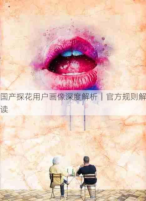 国产探花用户画像深度解析|官方规则解读