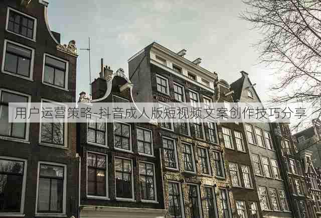用户运营策略-抖音成人版短视频文案创作技巧分享