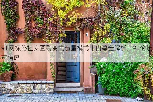 91网探秘社交圈裂变式造星模式|内幕全解析,91论坛可信吗
