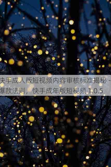 快手成人版短视频内容审核标准揭秘 - 爆款法则,快手成年版短视频 1.0.5