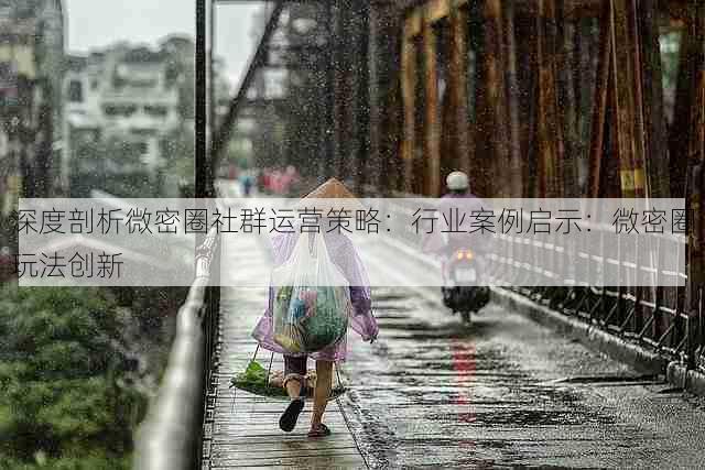 深度剖析微密圈社群运营策略:行业案例启示:微密圈玩法创新