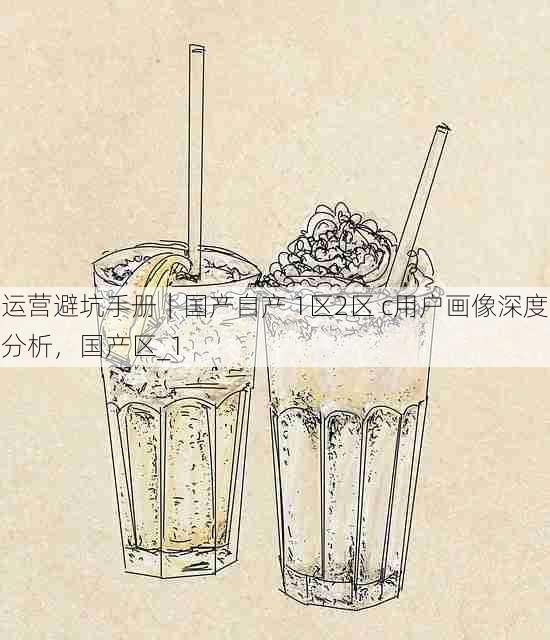 运营避坑手册|国产自产 1区2区 c用户画像深度分析,国产区_1