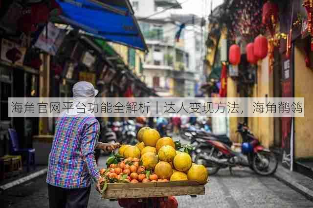 海角官网平台功能全解析|达人变现方法,海角鹡鸰