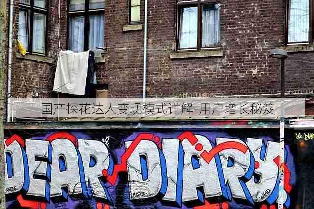 国产探花达人变现模式详解-用户增长秘笈