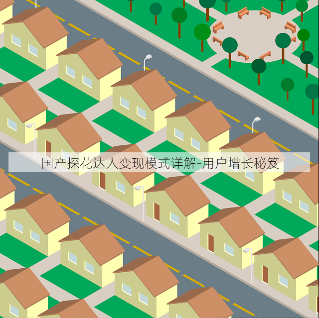 国产探花达人变现模式详解-用户增长秘笈