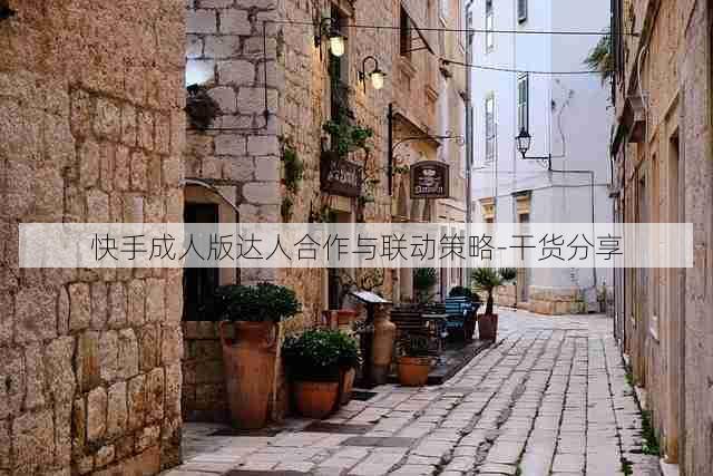 快手成人版达人合作与联动策略-干货分享
