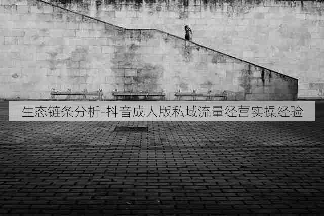 生态链条分析-抖音成人版私域流量经营实操经验
