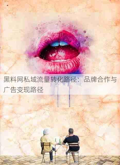 黑料网私域流量转化路径:品牌合作与广告变现路径