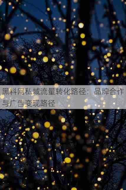 黑料网私域流量转化路径:品牌合作与广告变现路径