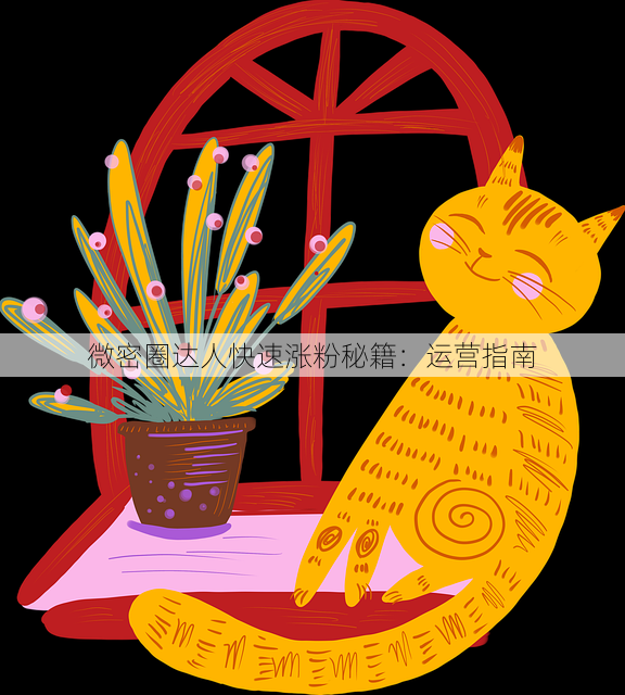 微密圈达人快速涨粉秘籍:运营指南