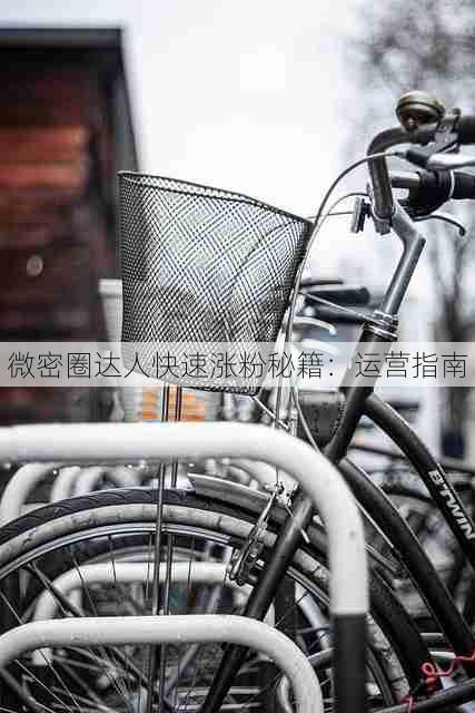 微密圈达人快速涨粉秘籍:运营指南