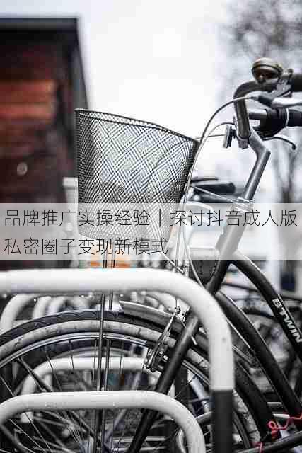品牌推广实操经验|探讨抖音成人版私密圈子变现新模式