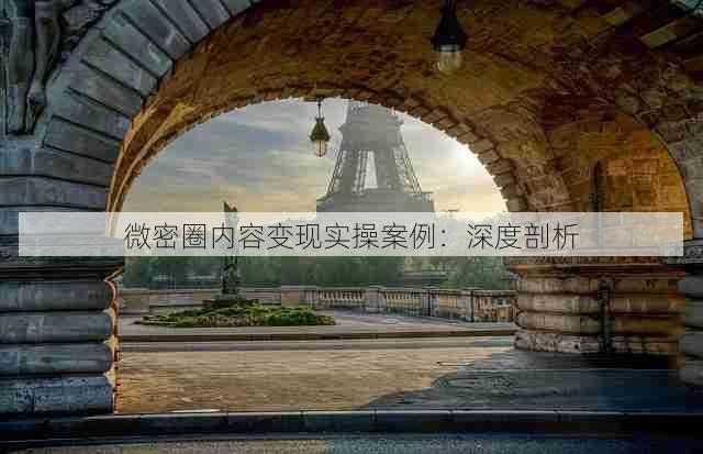微密圈内容变现实操案例:深度剖析