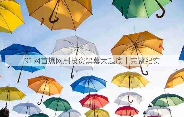 91网首爆网剧投资黑幕大起底｜完整纪实